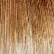 Soft and Subtle Petite/Average Wig by Gabor | Synthetic (Lace Front Mono Part)