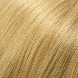 Sophia (Renau Colors) Wig by Jon Renau | Remy Human Hair (Lace Front Hand Tied Mono Top)