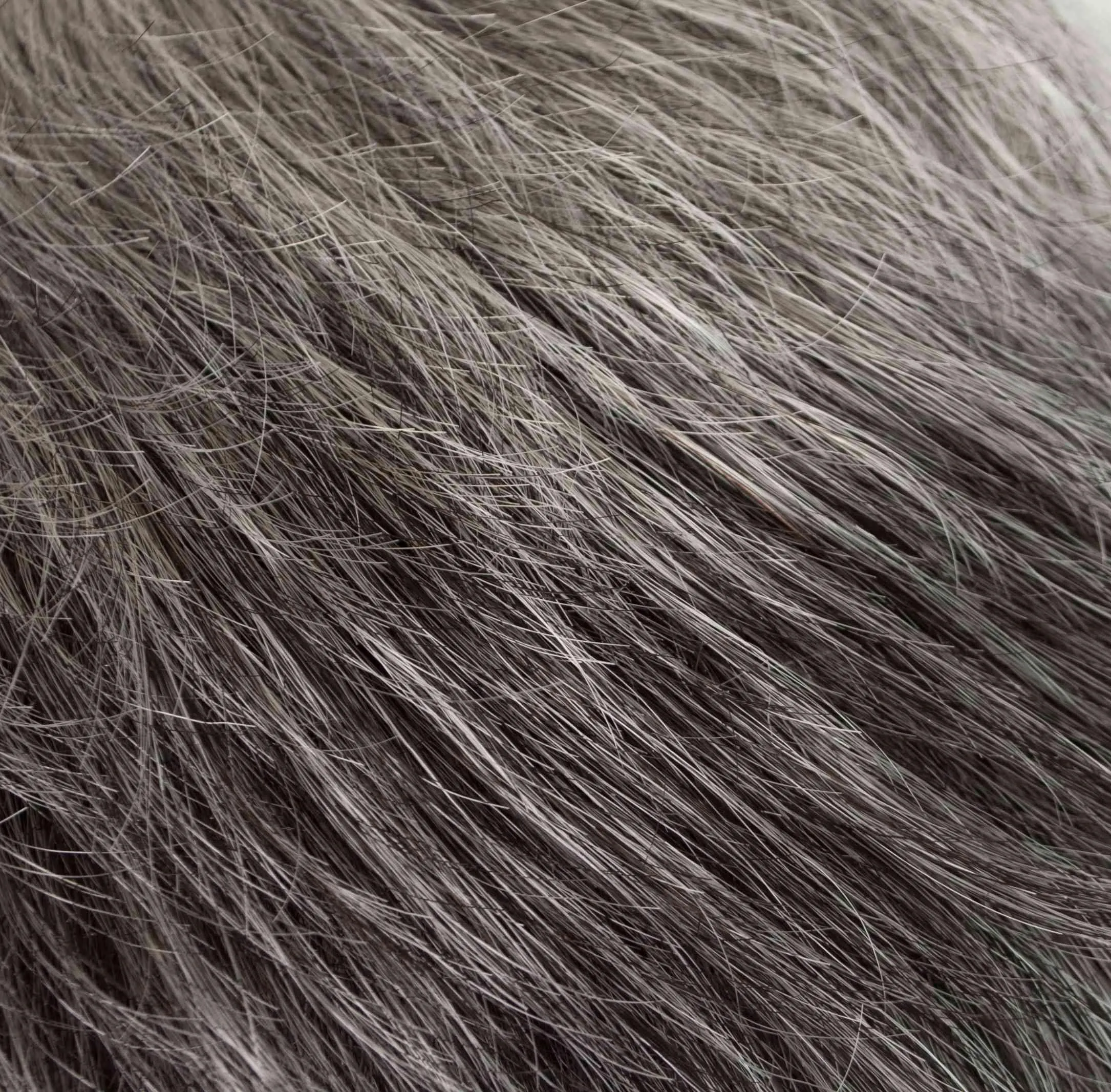Ultra Petite Peg Wig by Tony of Beverly | Synthetic Wig (Traditional Cap)