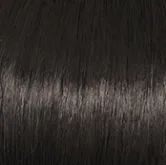 Voltage Large Wig by Raquel Welch | Synthetic (Basic Cap)