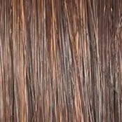 Wavy Day Wig by Raquel Welch | Synthetic Lace Front (Mono Top)