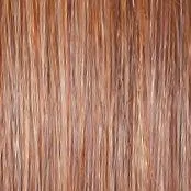 Wavy Day Wig by Raquel Welch | Synthetic Lace Front (Mono Top)