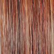 Wavy Day Wig by Raquel Welch | Synthetic Lace Front (Mono Top)