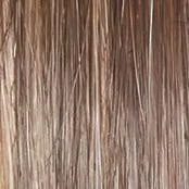 Wavy Day Wig by Raquel Welch | Synthetic Lace Front (Mono Top)