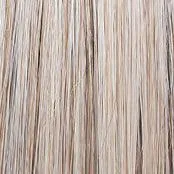 Wavy Day Wig by Raquel Welch | Synthetic Lace Front (Mono Top)