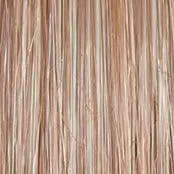 Wavy Day Wig by Raquel Welch | Synthetic Lace Front (Mono Top)