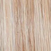 Wavy Day Wig by Raquel Welch | Synthetic Lace Front (Mono Top)