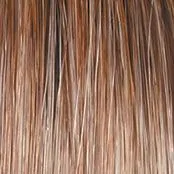 Wavy Day Wig by Raquel Welch | Synthetic Lace Front (Mono Top)