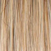 Wavy Day Wig by Raquel Welch | Synthetic Lace Front (Mono Top)