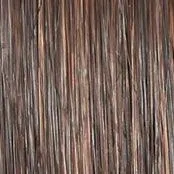 Wavy Day Wig by Raquel Welch | Synthetic Lace Front (Mono Top)