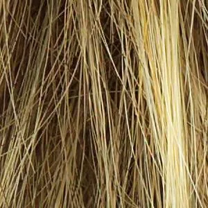 Winner Wig by Raquel Welch | Synthetic (Traditional Cap)